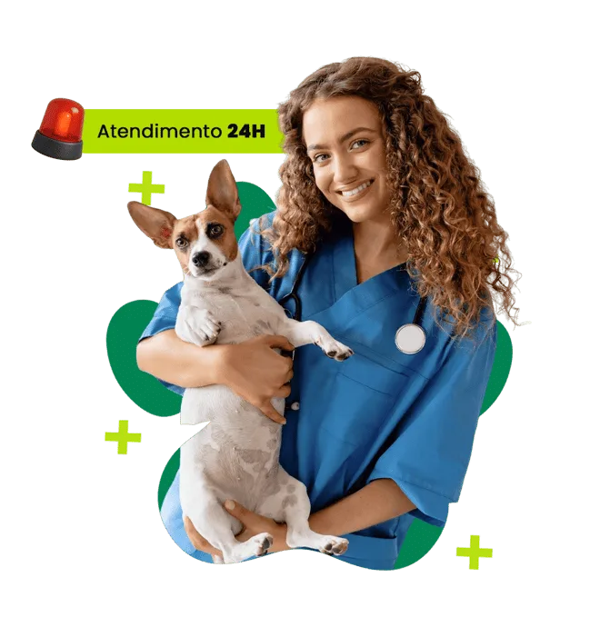 Veterinária da Animus Vet segurando um cão — atendimento 24 horas