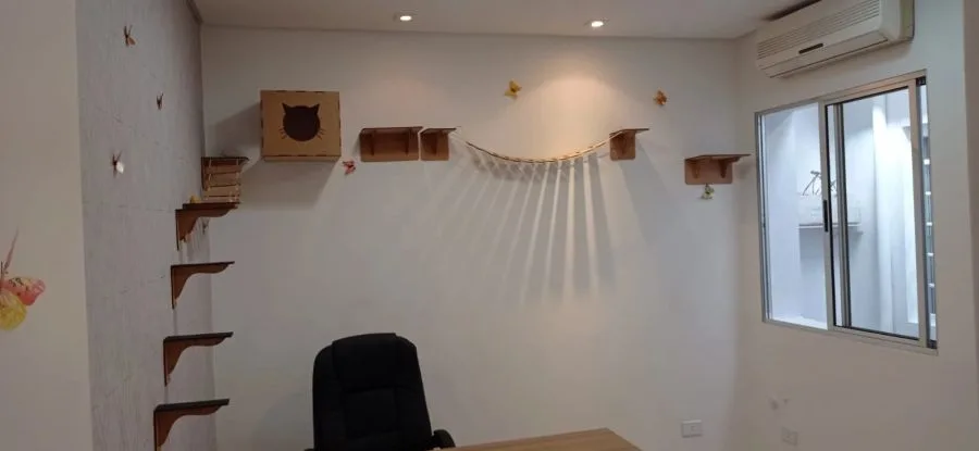 Consultório de felinos da Doutor Pets, com nichos e prateleiras de escalada fixados na parede