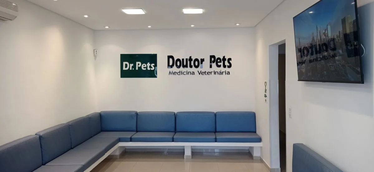 Sala de espera da Doutor Pets, com bancos azuis e a marca aplicada na parede