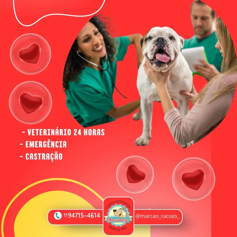 Atendimento de emergência na Marcão Rações Clínica Veterinária