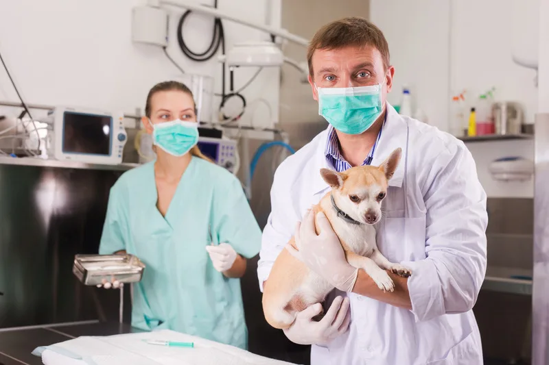 Centro cirúrgico da Marcão Rações Clínica Veterinária