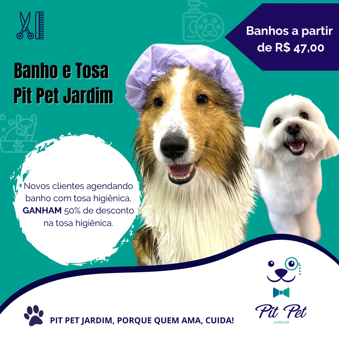 Banho e Tosa Pit Pet Jardim: um cão de pelo longo com touca de banho e um poodle branco recém-tosado
