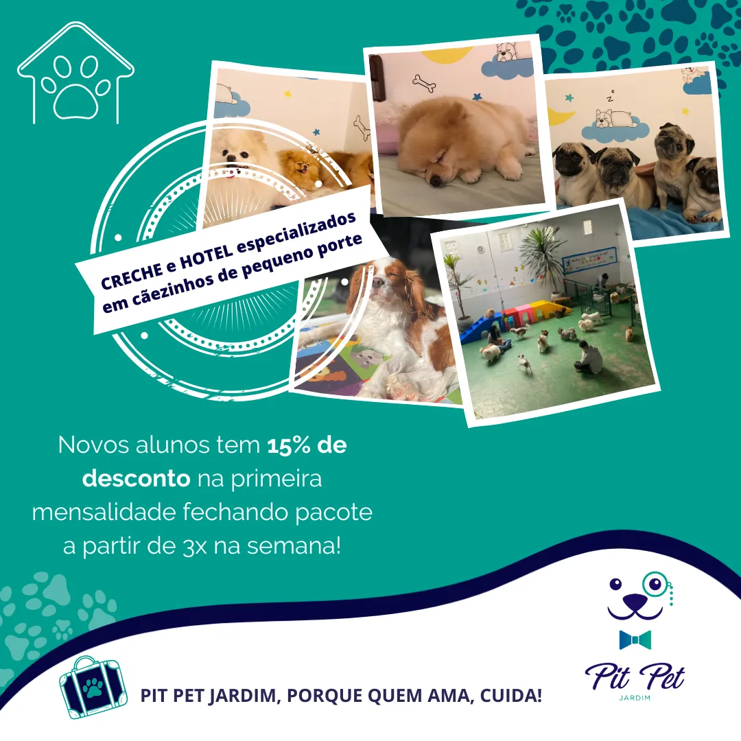 Creche e Hotel Pit Pet Jardim: fotos de cãezinhos de pequeno porte descansando nos quartos e brincando na área de recreação