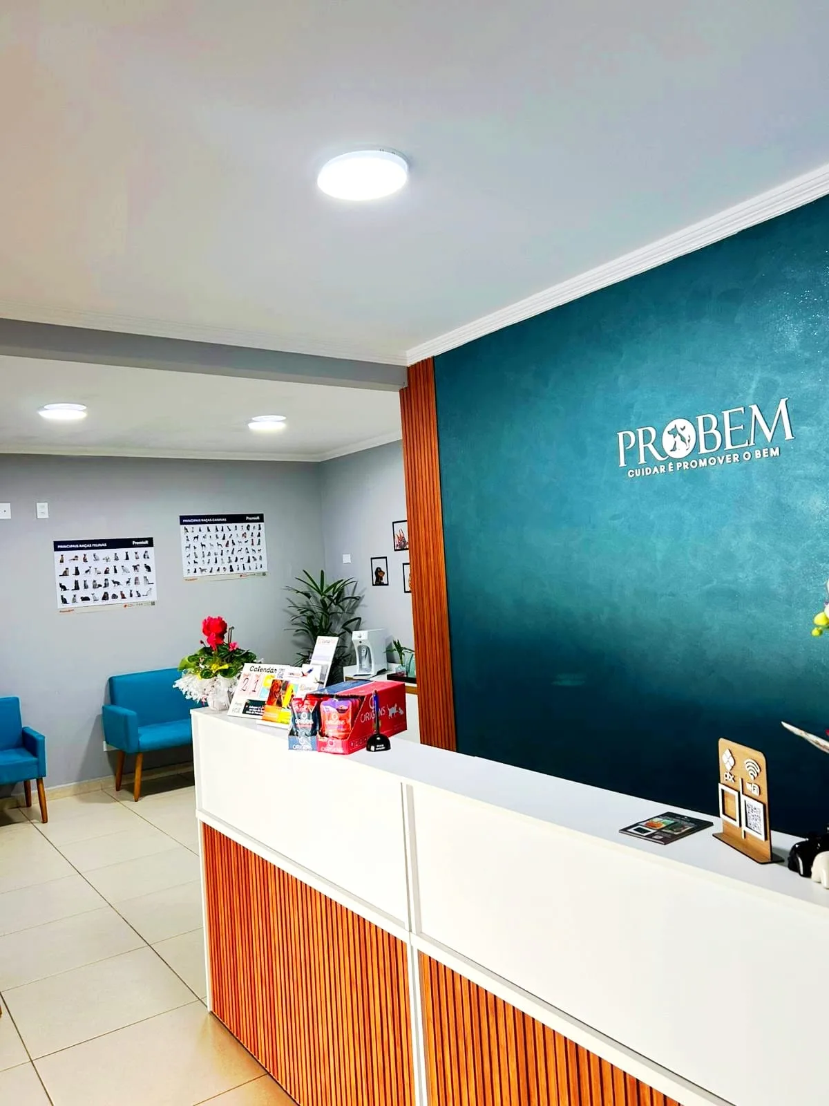 Recepção da Probem Clínica Veterinária, em Santo André